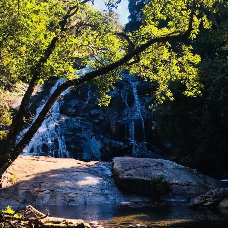 Hôtels à : Tzaneen