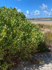 Parc national de Coorong