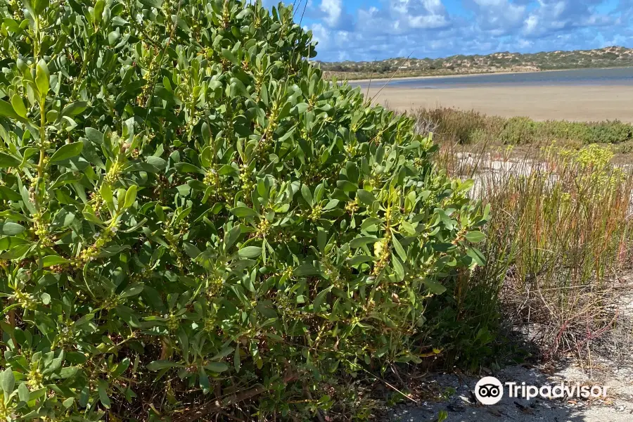 Coorong National Park