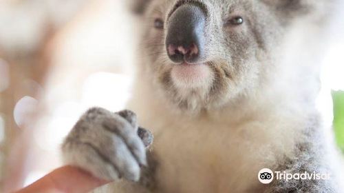 西姆比歐野生動物園