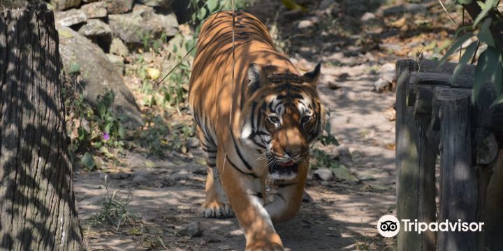Central Zoo