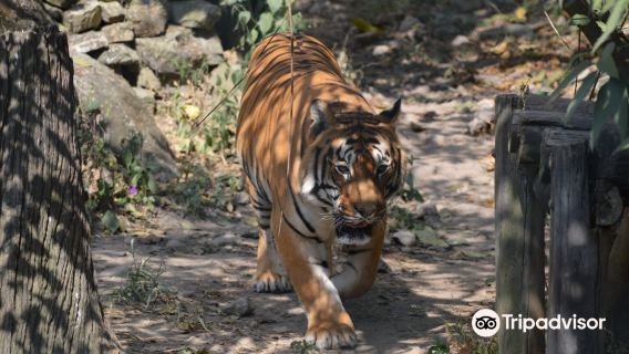 Central Zoo