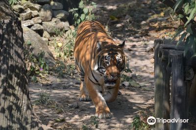Central Zoo