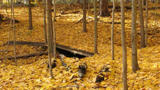 Blandford Nature Center