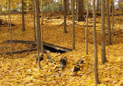 Blandford Nature Center