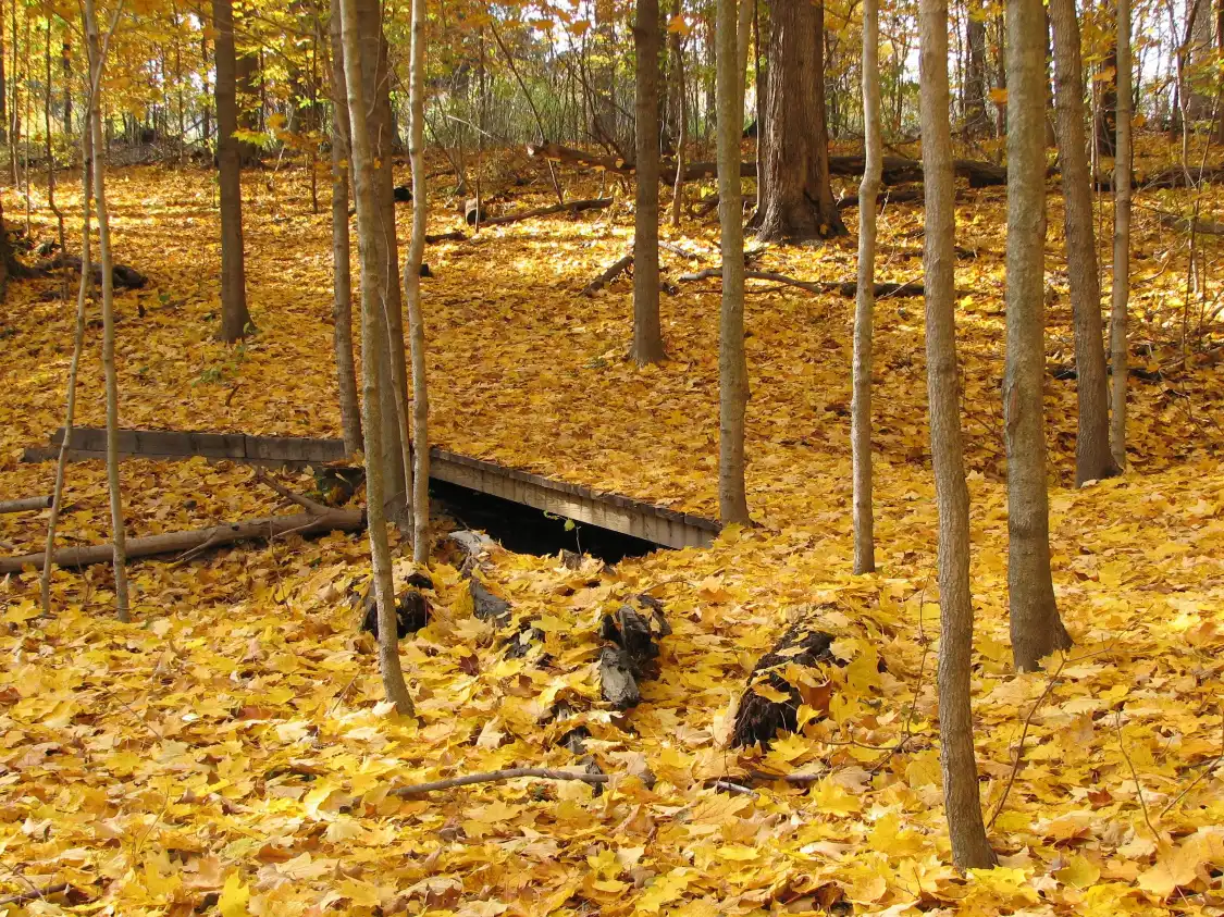 Hotels in der Nähe von Blandford Nature Center