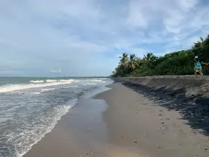 Playas de Palomino