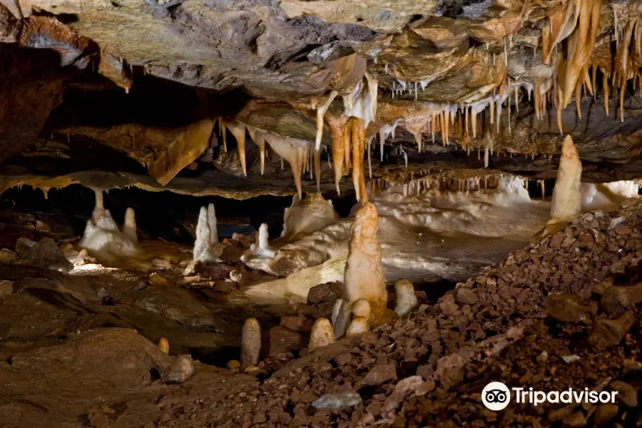 Mystic Caverns