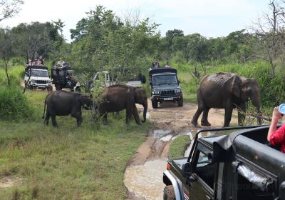 Hurulu Eco Safari