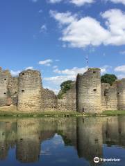 Vieux Château de Commequiers