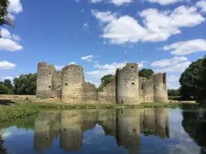 Le Chateau de Commequiers