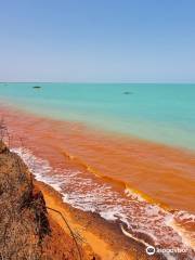 Broome Bird Observatory