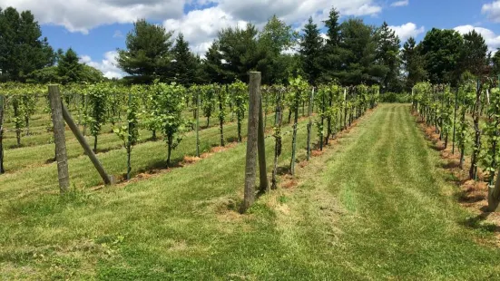 Connecticut Valley Winery Llc