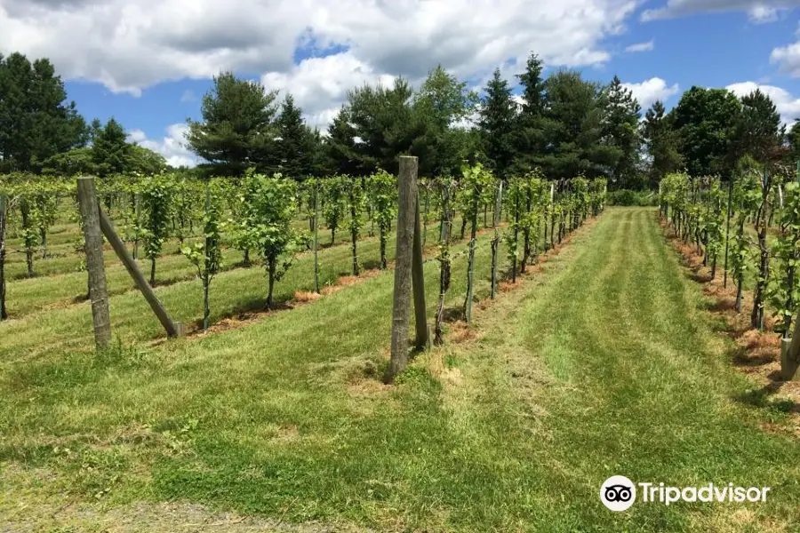 Connecticut Valley Winery Llc