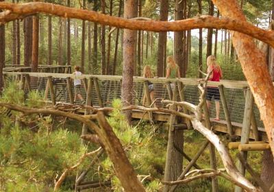 Moors Valley Country Park & Forest