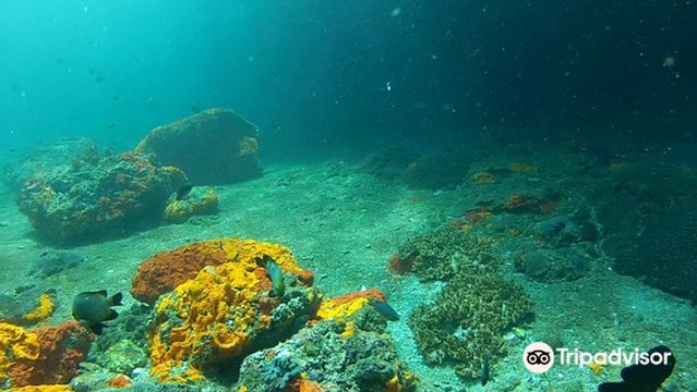 Nomad Ocean Adventures