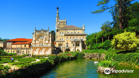 Mata Nacional do Buçaco