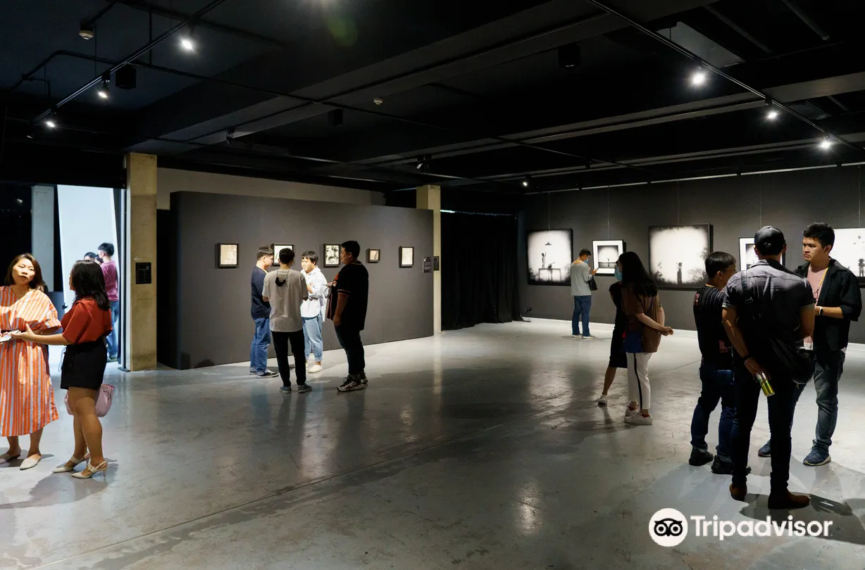 4_Adler Subhashok Gallery