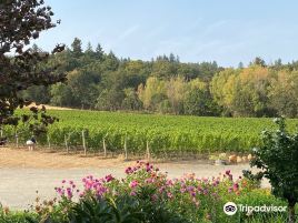 Cristom Vineyards