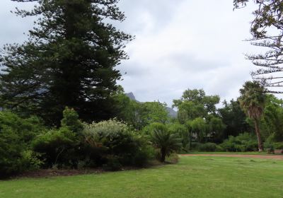 Arderne Gardens