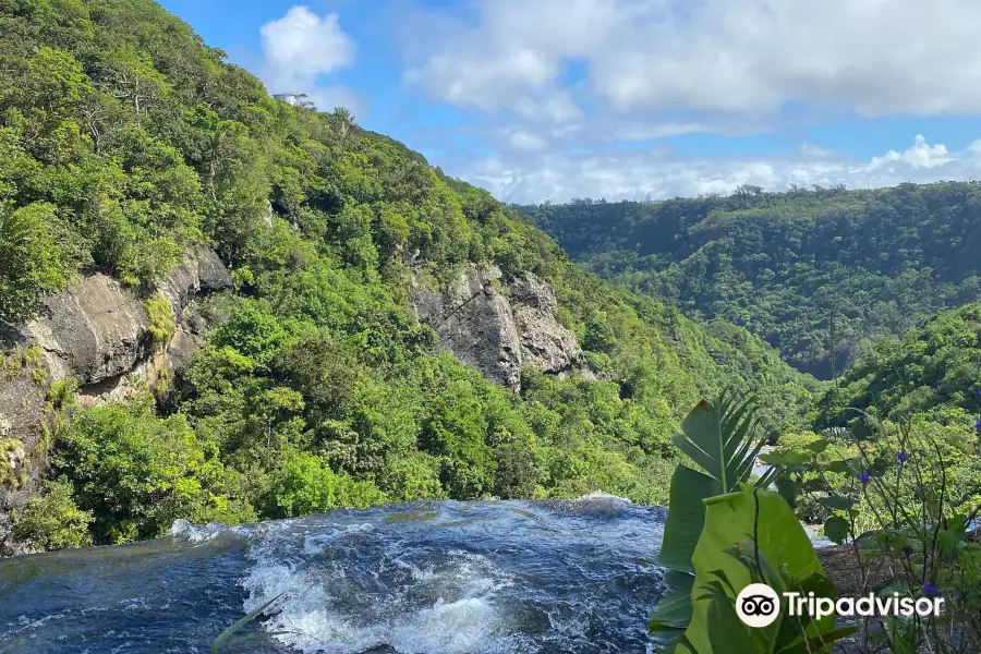 Tamarin Falls