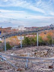 Runaway Mountain Coaster & Flyaway Ziplines at Branson Mountain Adventure