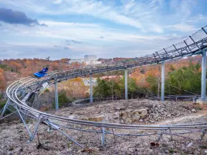 Runaway Mountain Coaster & Flyaway Ziplines at Branson Mountain Adventure