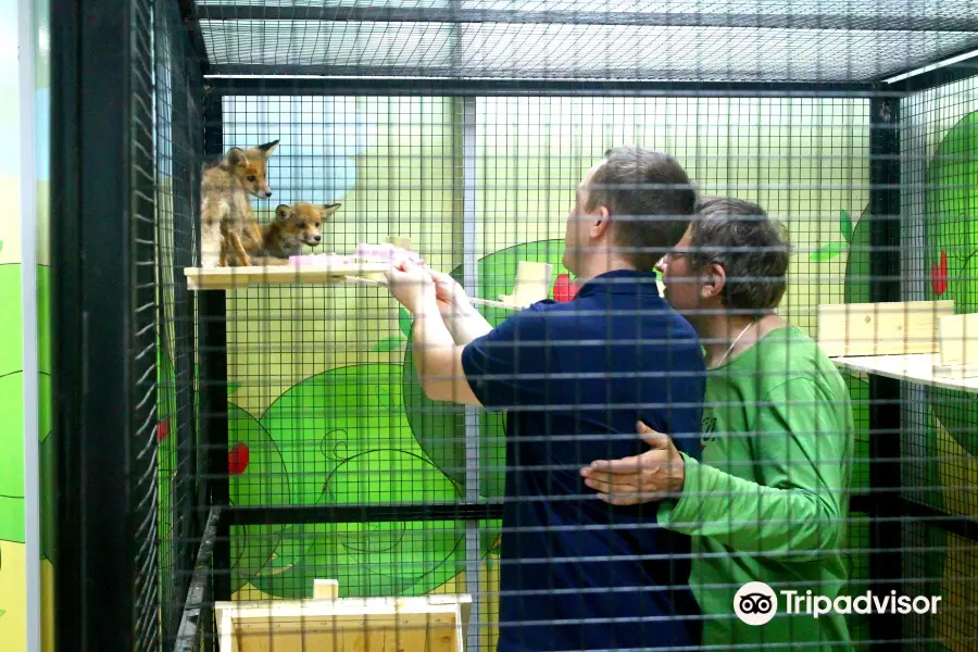 Touching Zoo Zvero-Polis