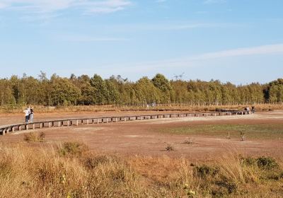 Natuurgebied Huis ter heide