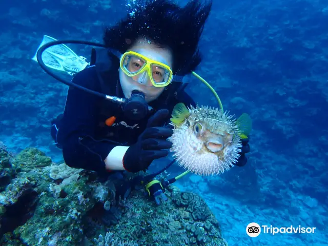Scuba Diving in Naha