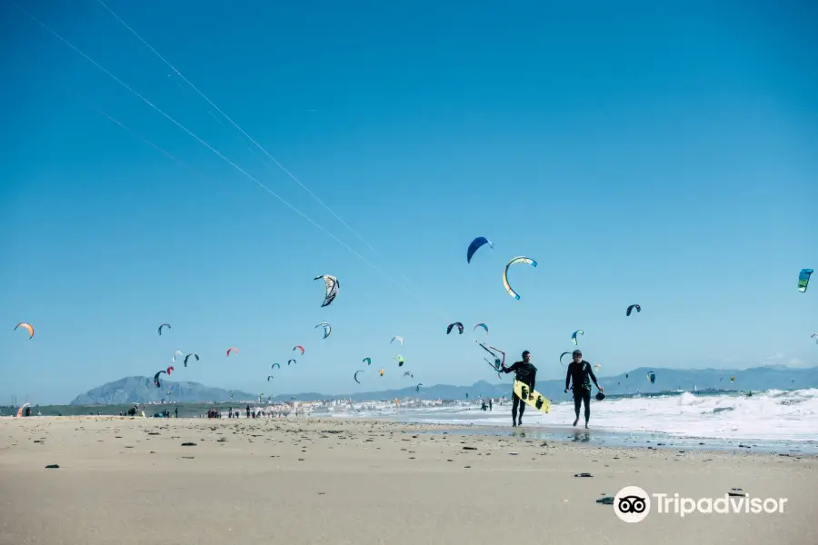 Alex Pastor Kite Club