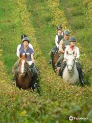 Le Haras de Durfort