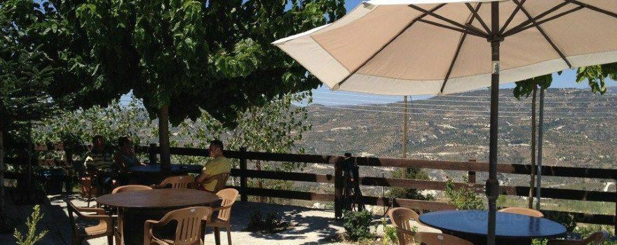 Nelion Winery