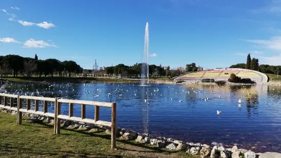 Las Cruces Park