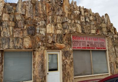 Petrified Wood Gas Station