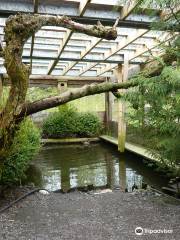 Prince Rupert Wildlife Rehab Shelter