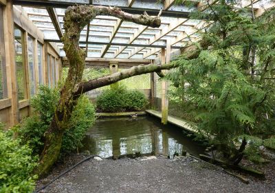 Prince Rupert Wildlife Rehab Shelter