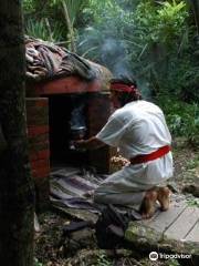 Temazcal Cenote Experience