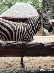 黎剎Avilon動物園