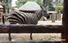 黎剎Avilon動物園