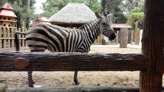 黎剎Avilon動物園