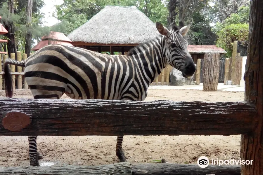 黎剎Avilon動物園