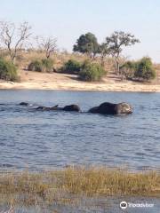 Ngina Safaris