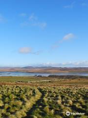 RSPB Loch Gruinart Reserve