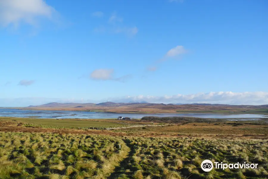 RSPB Loch Gruinart Reserve