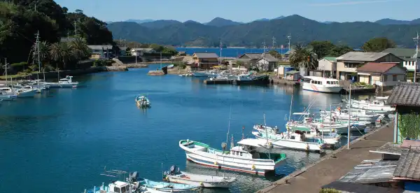 Hotels in Kaiyo