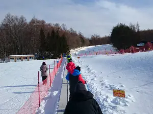 八幡平リゾート パノラマスキー場