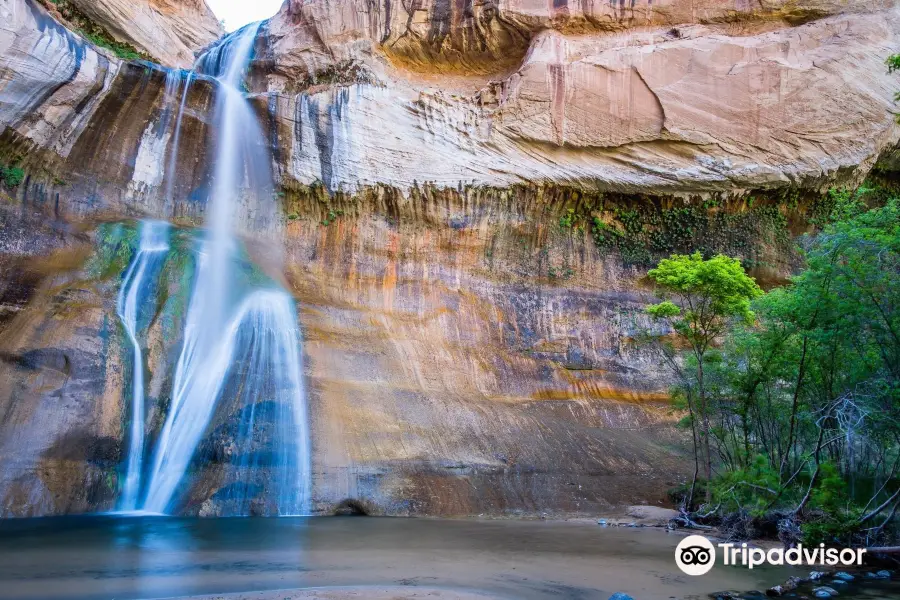 Calf Creek Falls Recreation Area