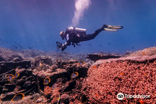 Bali Diving