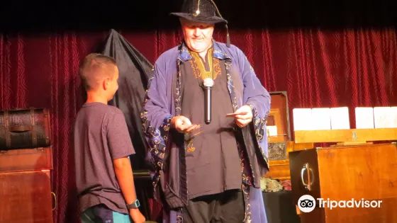 Merlin's Magic Dinner Show